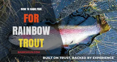 Master Bank Fishing Techniques for Catching Rainbow Trout Successfully