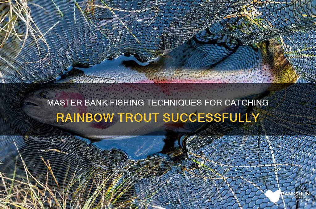 how to bank fish for rainbow trout