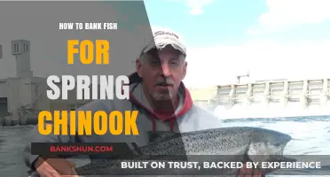 Master Spring Chinook Fishing: Proven Bank Techniques for Success