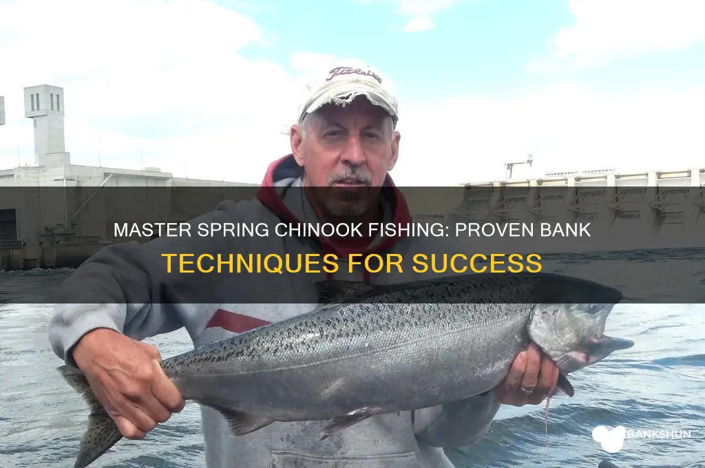how to bank fish for spring chinook