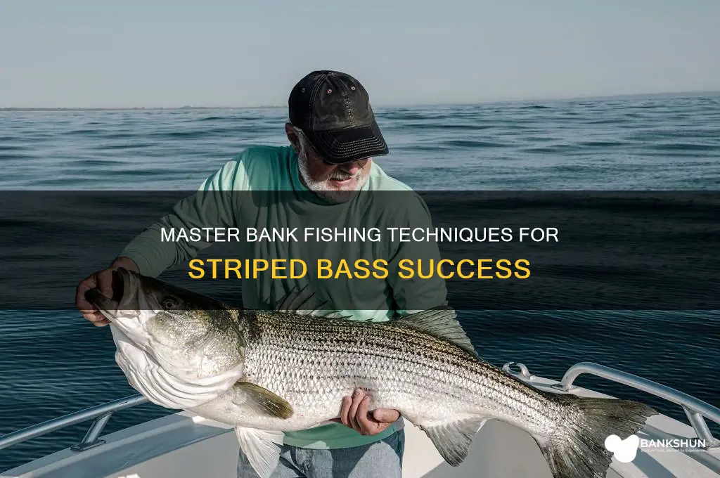 how to bank fish for striped bass