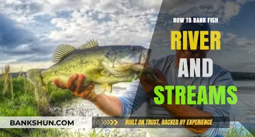 Mastering Bank Fishing: Techniques for Rivers and Streams Success