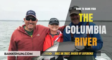 Mastering Columbia River Bank Fishing: Techniques, Tips, and Prime Spots