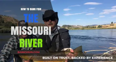 Mastering Missouri River Bank Fishing: Techniques, Tips, and Tactics