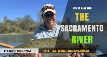Mastering Bank Fishing on the Sacramento River: Tips and Techniques