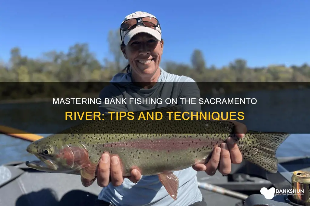 how to bank fish the sacramento river