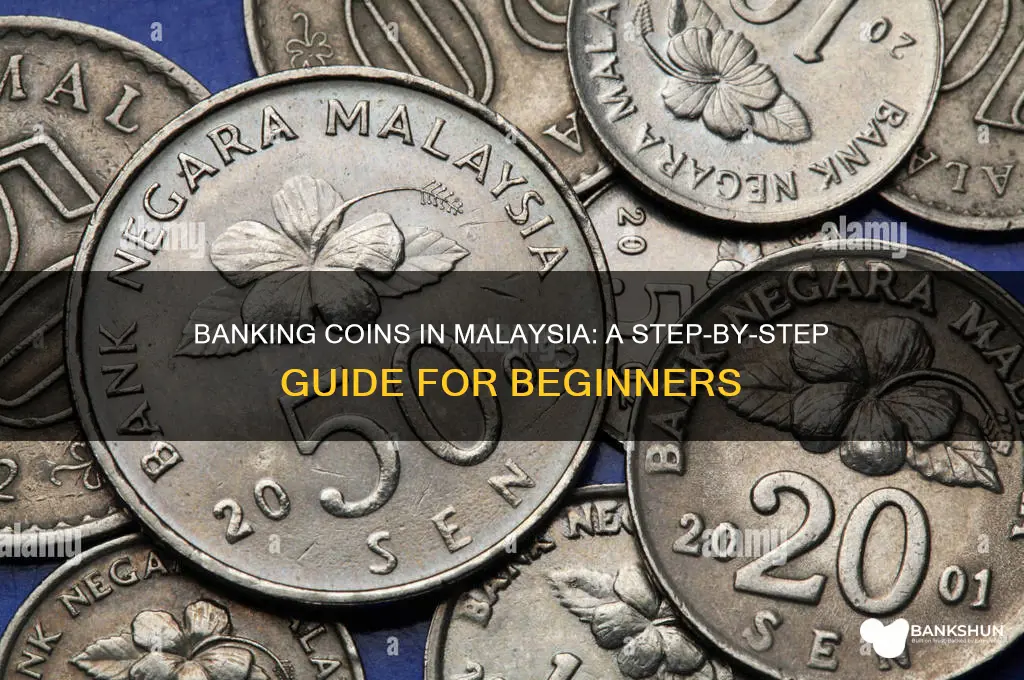 how to bank in coins in malaysia