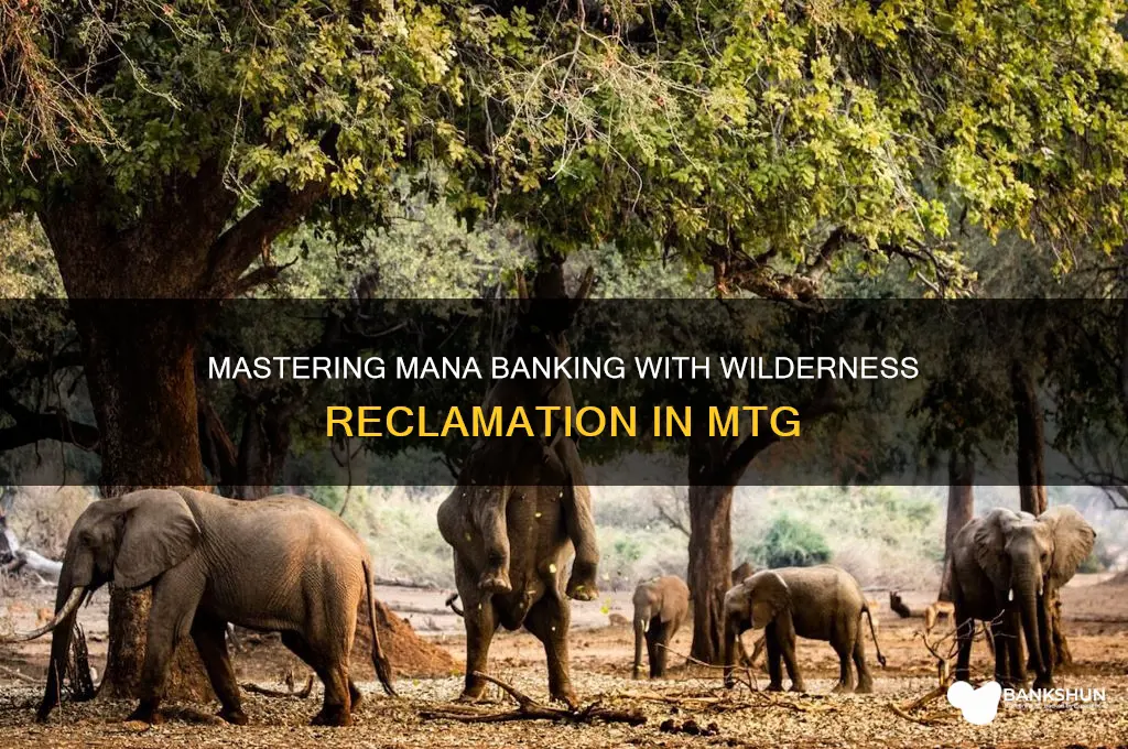 how to bank mana from wilderness reclemation