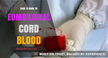 Preserving Life: A Guide to Banking Umbilical Cord Blood Safely