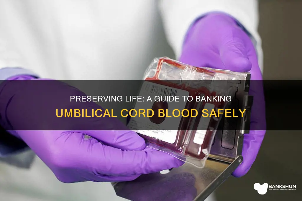 how to bank th eumbiloical cord blood