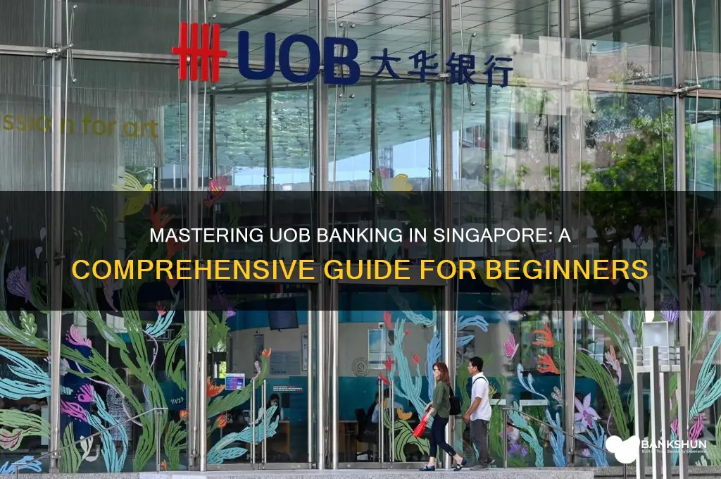 how to banking uob bank in sg