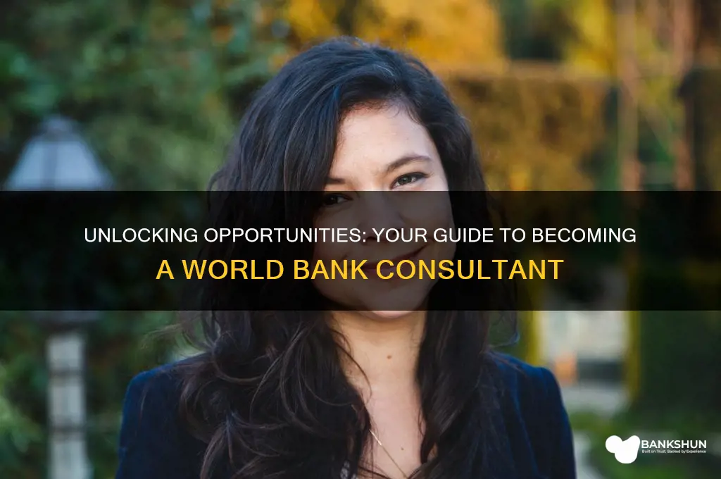 how to be a world bank consultant