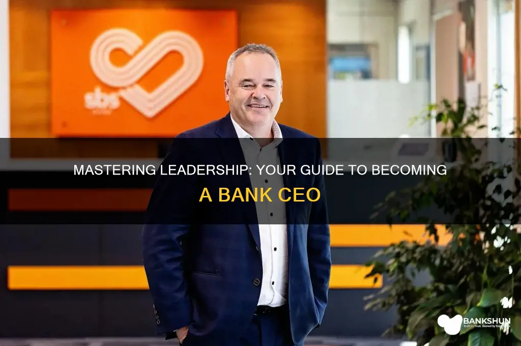 how to be ceo of a bank
