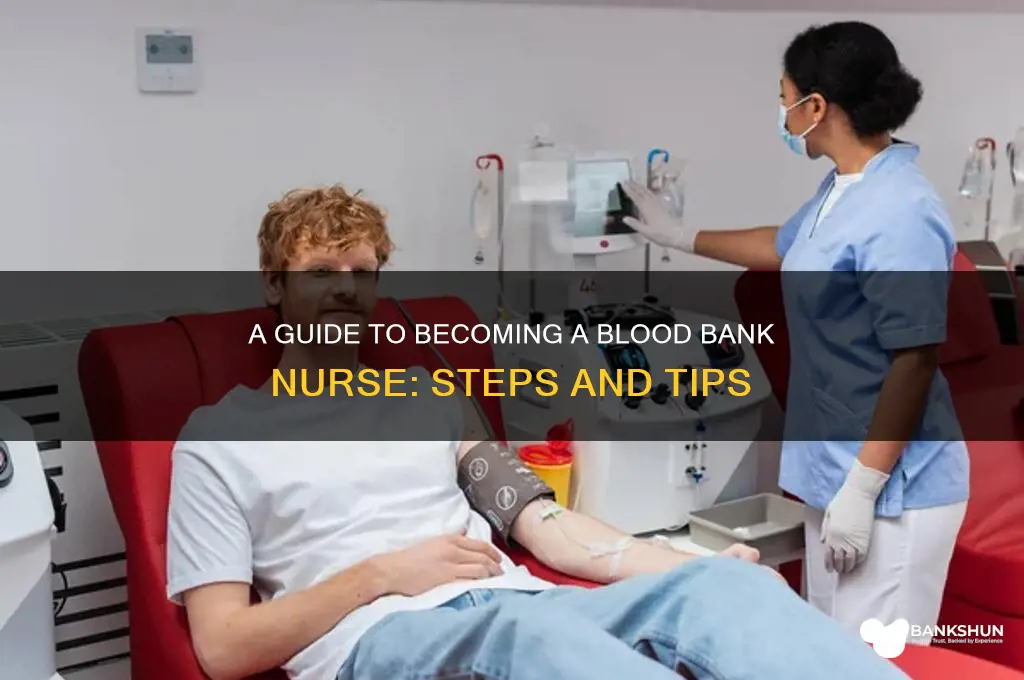 how to become a blood bank nurse