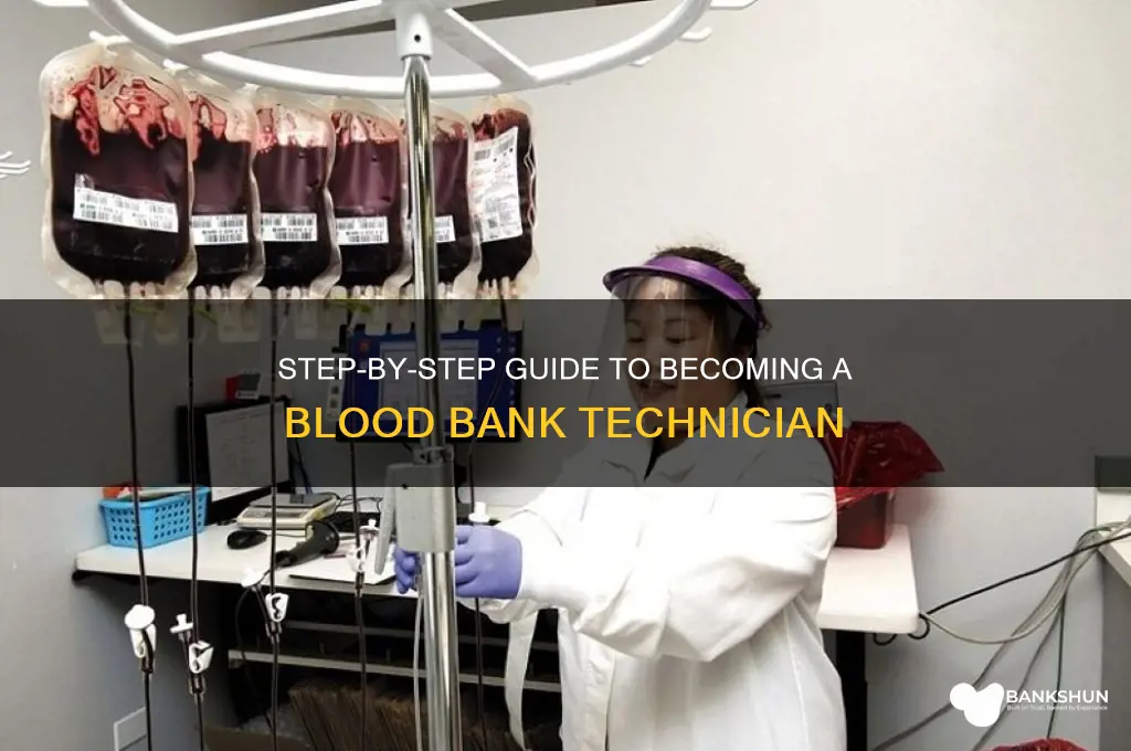 how to become a blood bank technician