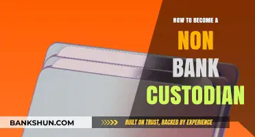 Steps to Becoming a Non-Bank Custodian: A Comprehensive Guide