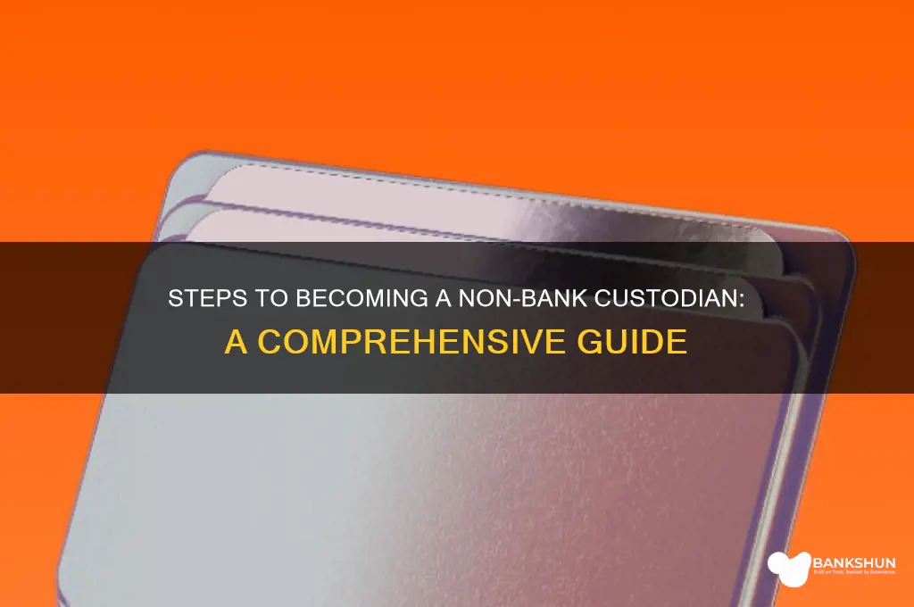 how to become a non bank custodian