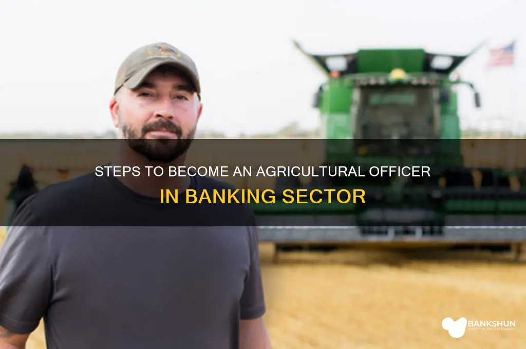 how to become agricultural officer in bank