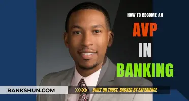 Climbing the Banking Ladder: A Guide to Becoming an AVP