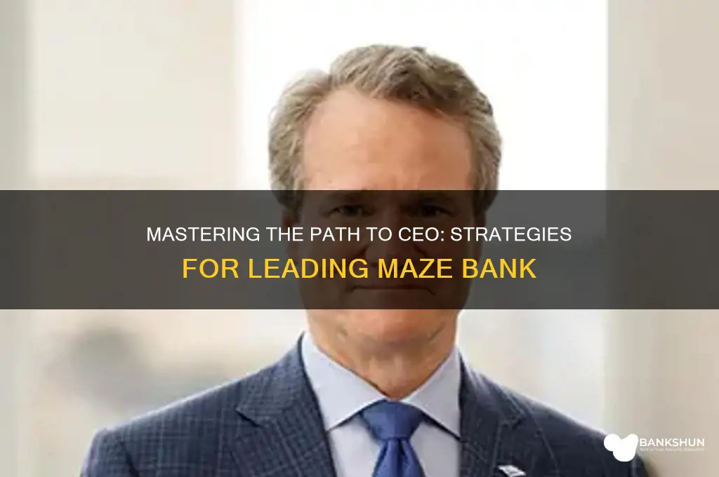 how to become ceo of maze bank
