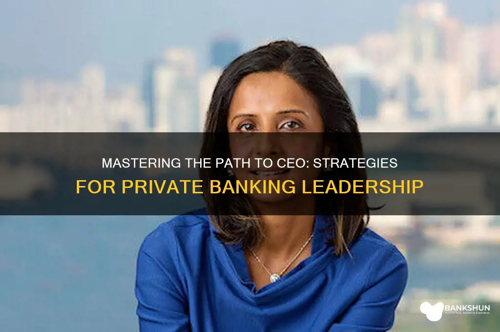 how to become ceo of private banks