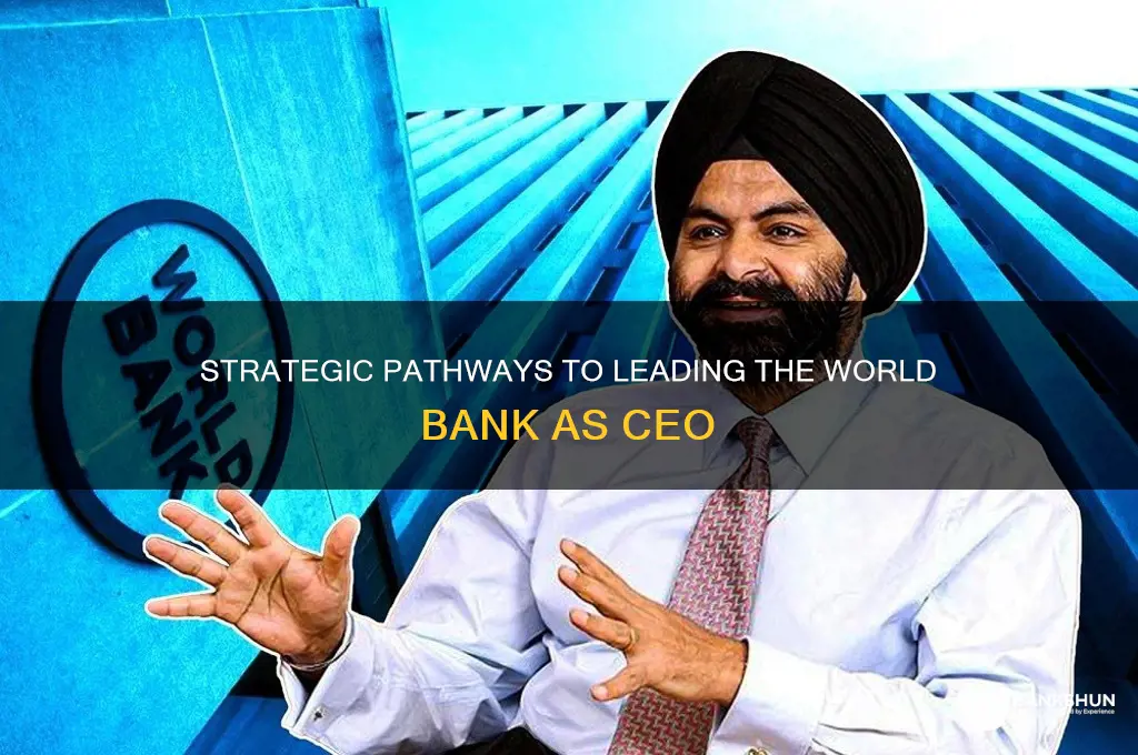 how to become ceo of world bank