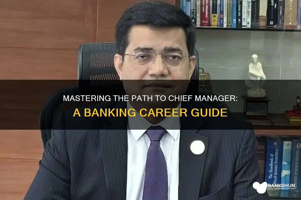 how to become chief manager in bank