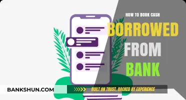 Mastering Bank Loan Tracking: A Guide to Recording Borrowed Cash