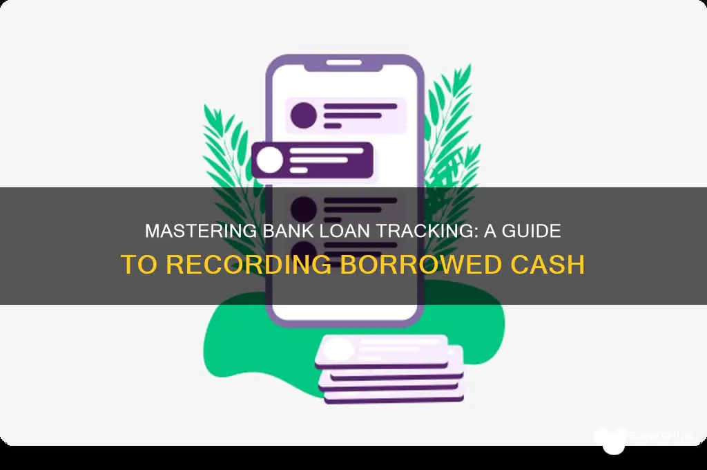 how to book cash borrowed from bank