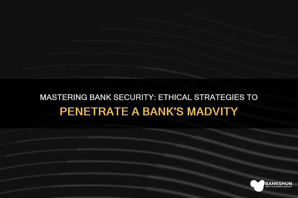 how to break into a bank madvity