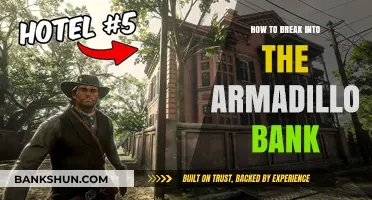 Cracking the Armadillo Bank: Insider Tips for a Successful Heist