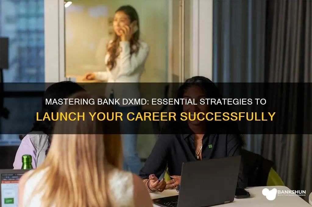 how to break into the bank dxmd