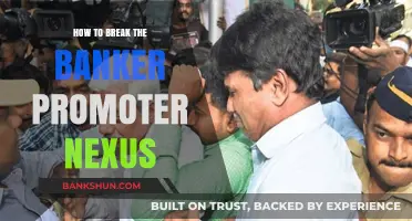 Breaking the Banker-Promoter Nexus: Strategies for Transparency and Accountability