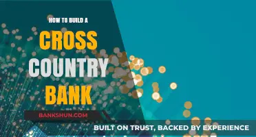 Building a Cross-Country Bank: Strategies for Expansion and Success