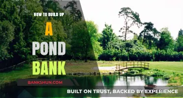 Creating a Stable Pond Bank: Essential Steps for a Beautiful Waterside