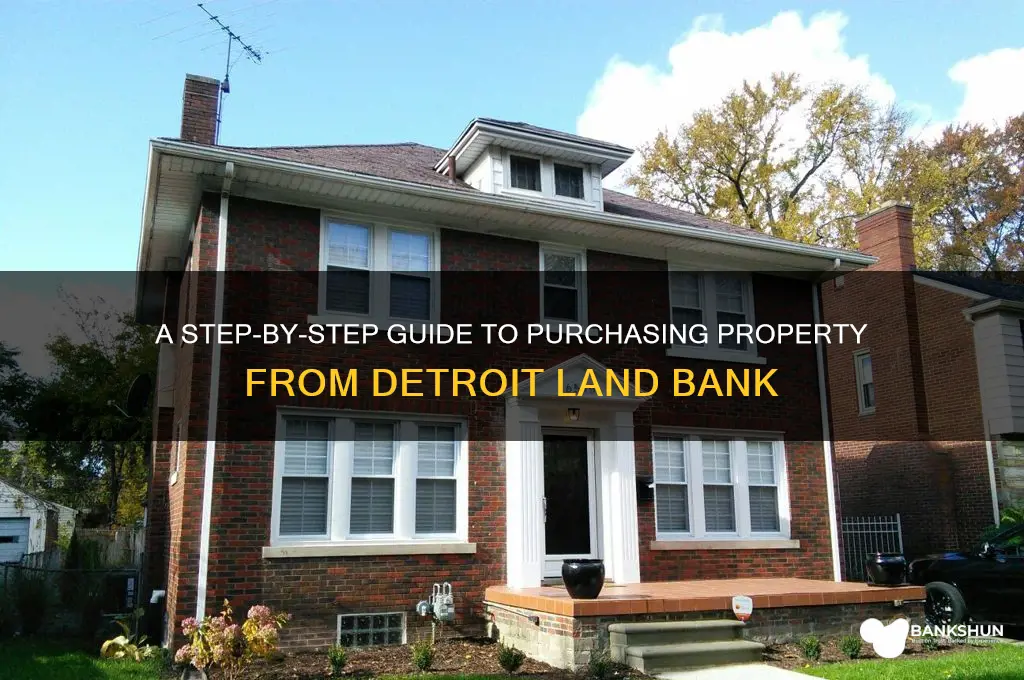 how to buy from detroit land bank