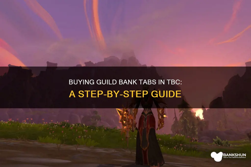 how to buy guild bank tabs tbc