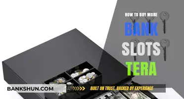 Expand Your Inventory: A Guide to Buying More Bank Slots in Tera