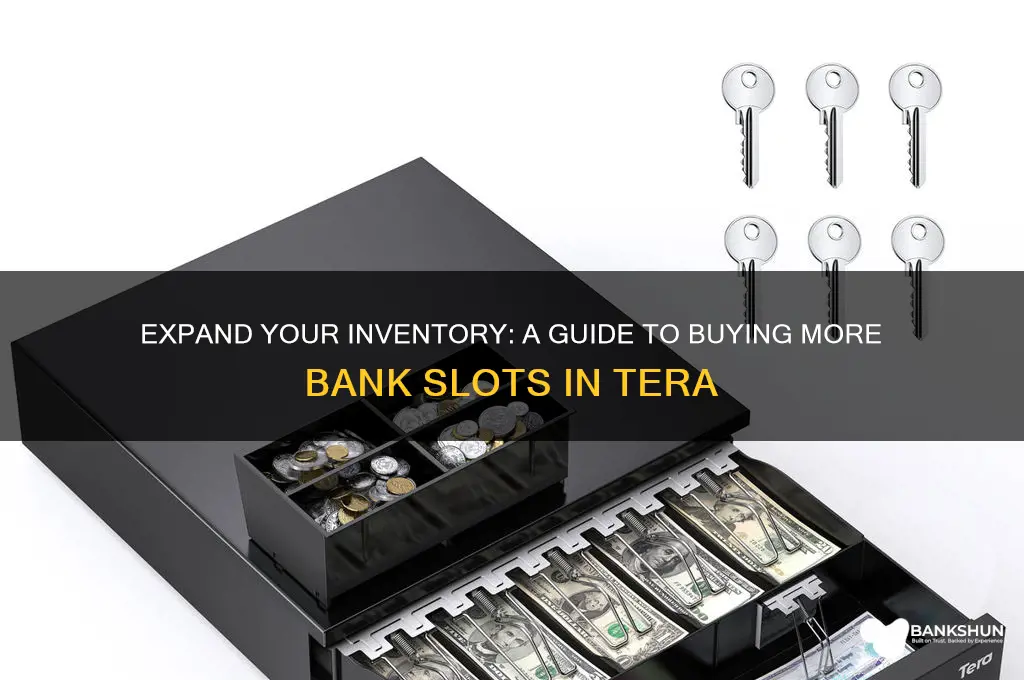 how to buy more bank slots tera