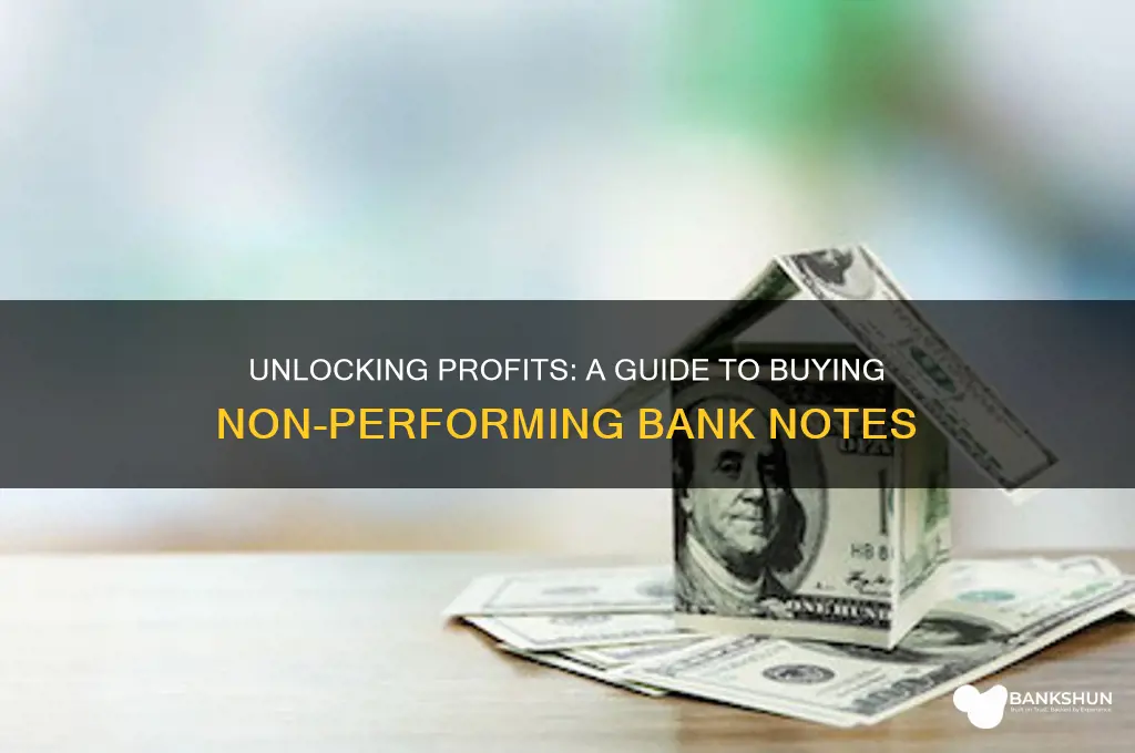 how to buy non performing bank notes