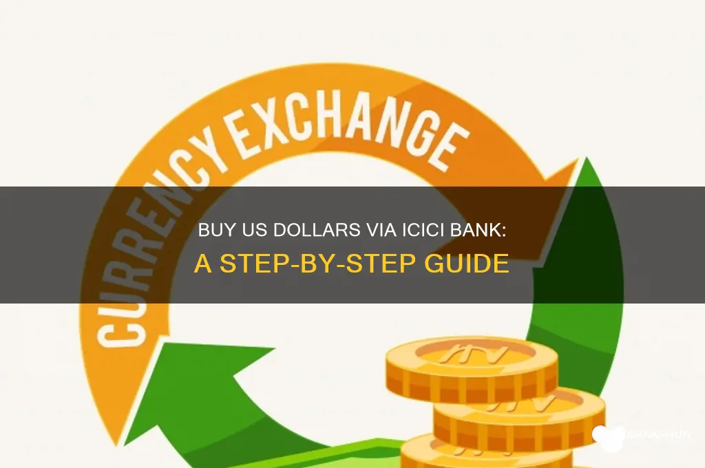 how to buy us dollars icici bank