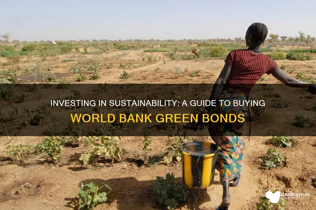 how to buy world bank green bonds