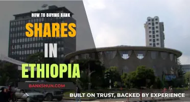 A Beginner's Guide to Investing in Ethiopian Bank Shares