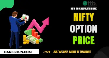 Mastering Bank Nifty Option Pricing: A Step-by-Step Calculation Guide