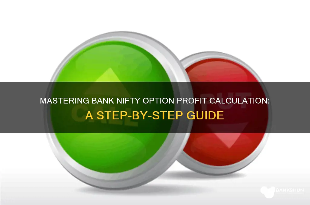 how to calculate bank nifty option profit
