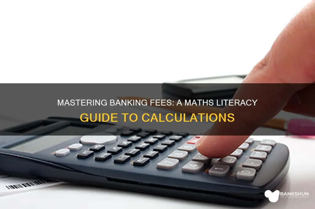 how to calculate banking fees maths literacy