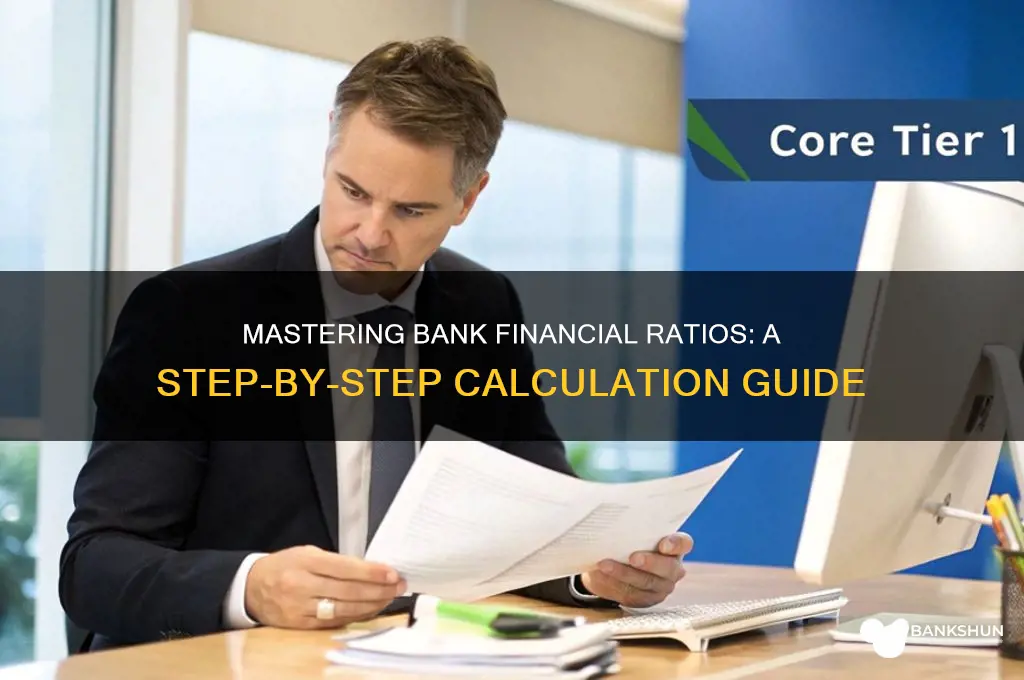 how to calculate financial ratios for banks