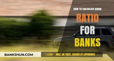 Calculating Bank Quick Ratio: A Step-by-Step Guide for Financial Analysis