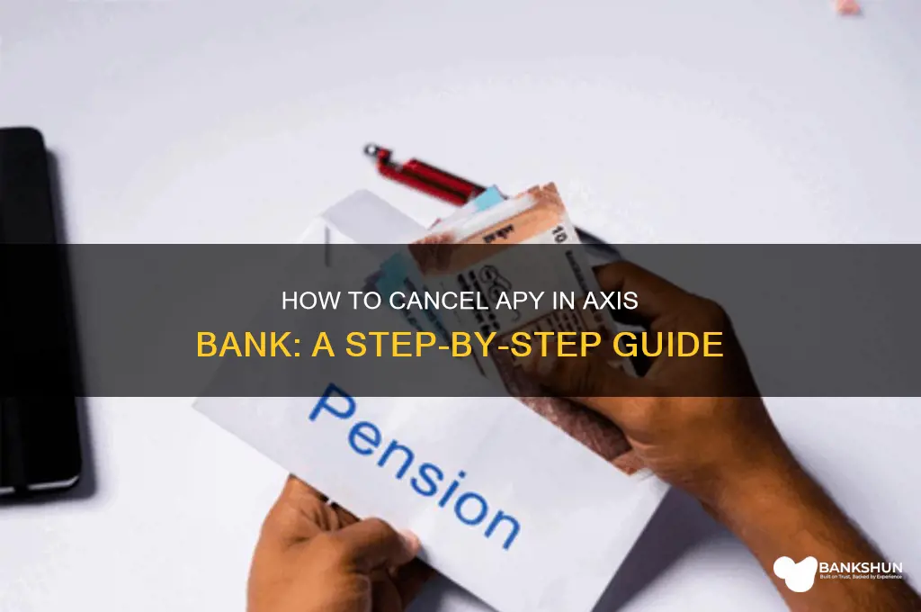 how to cancel apy in axis bank