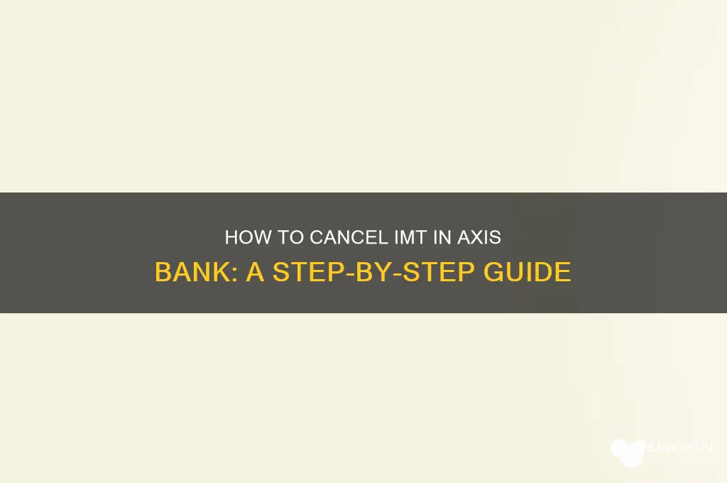 how to cancel imt in axis bank